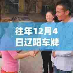 辽阳车牌最新号段发布,探讨与思考往年12月4日更新情况