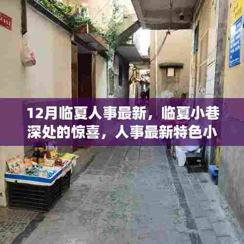 临夏人事最新探秘，小巷深处的惊喜与特色小店