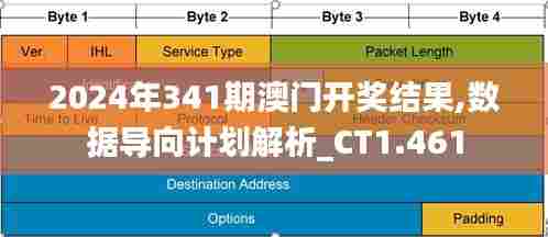 2024年341期澳门开奖结果,数据导向计划解析_CT1.461