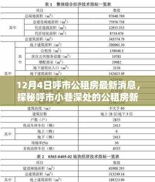 呼市公租房最新动态,探秘小巷深处的隐藏特色小店