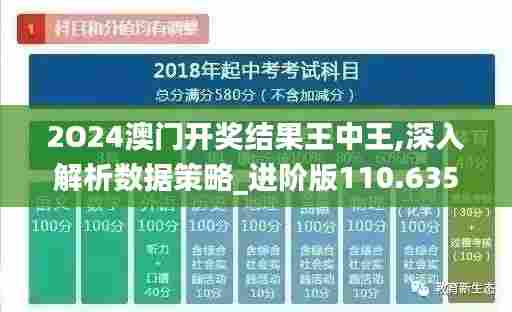 2O24澳门开奖结果王中王,深入解析数据策略_进阶版110.635