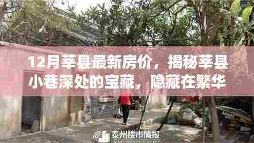 揭秘莘县小巷深处的宝藏与最新房价动态，繁华之外的独特小店与房价趋势分析