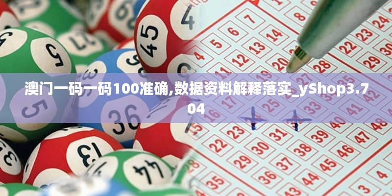 澳门一码一码100准确,数据资料解释落实_yShop3.704