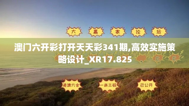 澳门六开彩打开天天彩341期,高效实施策略设计_XR17.825