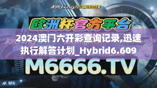 2024澳门六开彩查询记录,迅速执行解答计划_Hybrid6.609