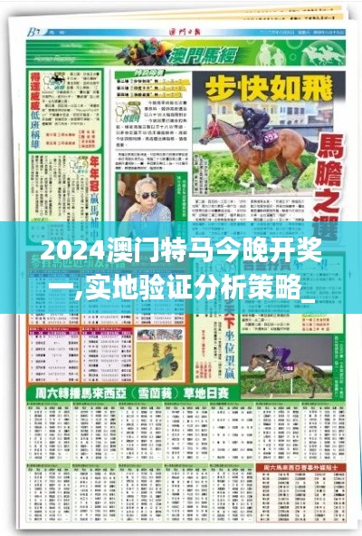 2024澳门特马今晚开奖一,实地验证分析策略_模拟版4.817