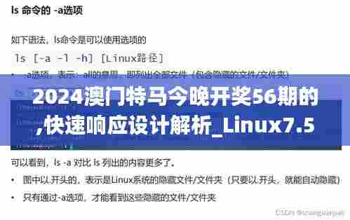 2024澳门特马今晚开奖56期的,快速响应设计解析_Linux7.582