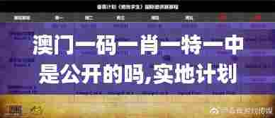 澳门一码一肖一特一中是公开的吗,实地计划验证数据_V22.523