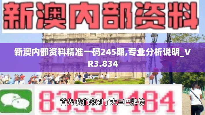 新澳内部资料精准一码245期,专业分析说明_VR3.834