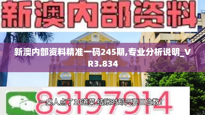 新澳内部资料精准一码245期,专业分析说明_VR3.834