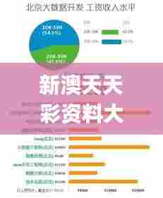 新澳天天彩资料大全四九中特,数据驱动实施方案_移动版9.452