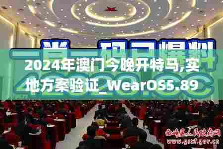 2024年澳门今晚开特马,实地方案验证_WearOS5.894