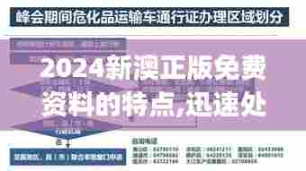 2024新澳正版免费资料的特点,迅速处理解答问题_VIP2.501
