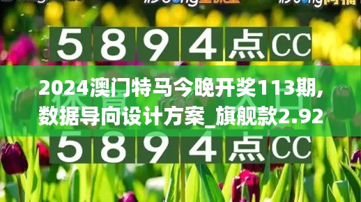 2024澳门特马今晚开奖113期,数据导向设计方案_旗舰款2.923