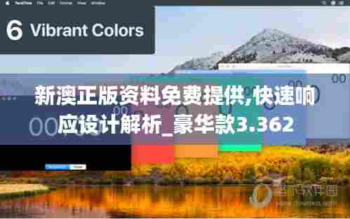 新澳正版资料免费提供,快速响应设计解析_豪华款3.362