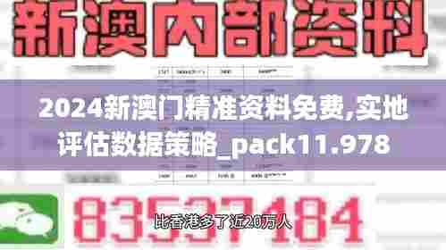 2024新澳门精准资料免费,实地评估数据策略_pack11.978