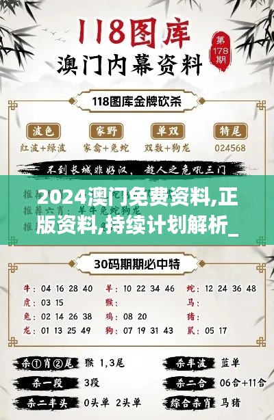 2024澳门免费资料,正版资料,持续计划解析_R版8.306