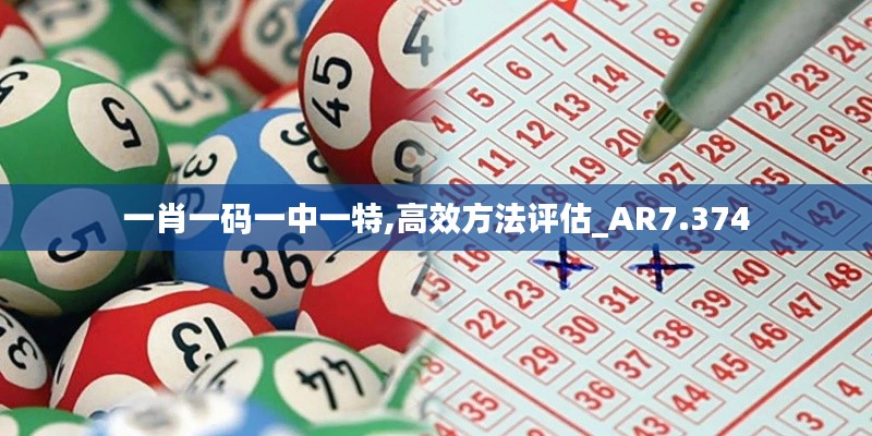 一肖一码一中一特,高效方法评估_AR7.374