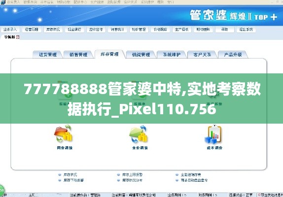777788888管家婆中特,实地考察数据执行_Pixel110.756