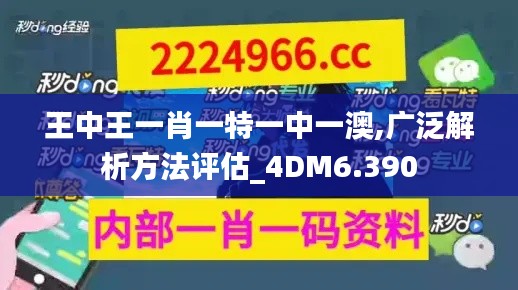 王中王一肖一特一中一澳,广泛解析方法评估_4DM6.390