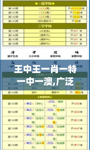 王中王一肖一特一中一澳,广泛解析方法评估_4DM6.390