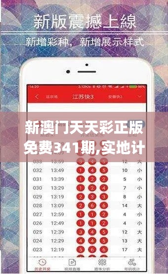 新澳门天天彩正版免费341期,实地计划验证策略_顶级版10.160