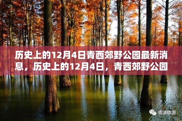 历史上的12月4日青西郊野公园动态回顾，最新消息与动态回顾