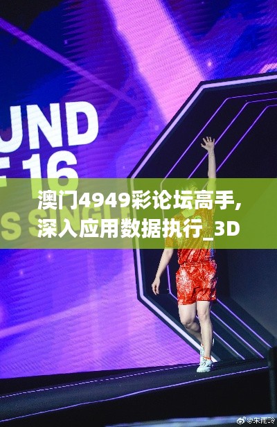 澳门4949彩论坛高手,深入应用数据执行_3D1.647