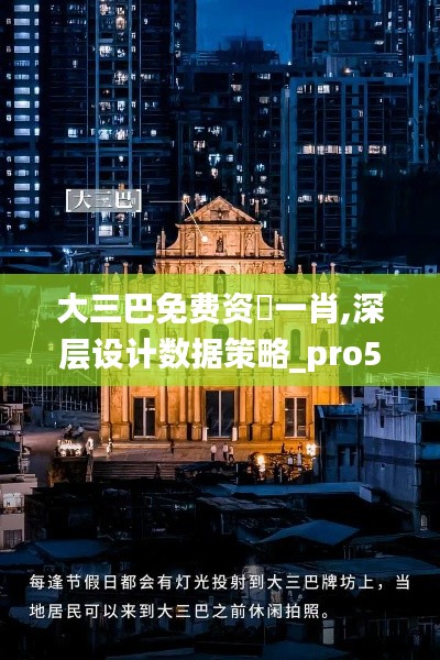 大三巴免费资枓一肖,深层设计数据策略_pro5.232