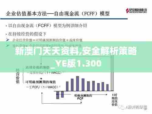 新澳门天天资料,安全解析策略_YE版1.300