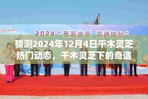 千木灵芝奇遇,预测2024年心灵与自然之旅的动态展望