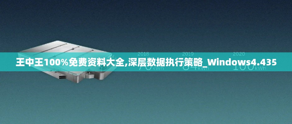 王中王100%免费资料大全,深层数据执行策略_Windows4.435
