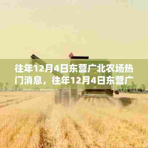 往年12月4日东营广北农场热门消息深度解析,特性、体验、竞品对比及用户洞察全揭秘