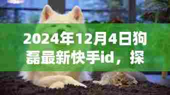 揭秘狗磊新居与快手ID,巷子深处的独特风味与惊喜(最新更新)