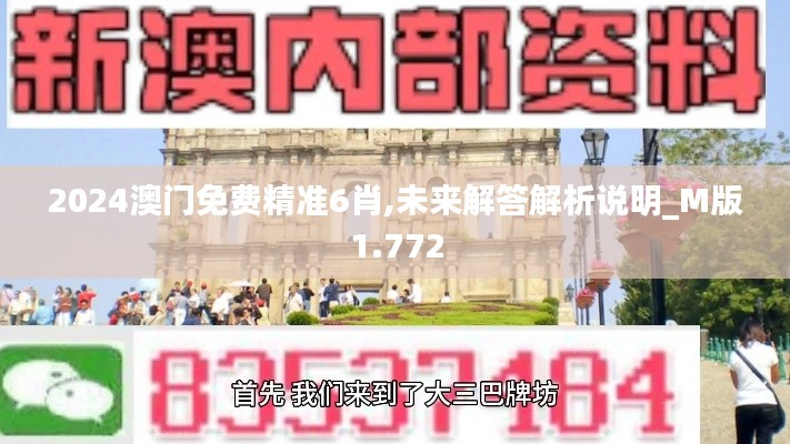 2024澳门免费精准6肖,未来解答解析说明_M版1.772