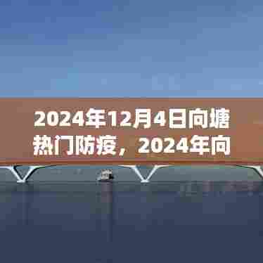 向塘地区防疫操作指南详解,防疫任务与步骤教程(2024年)