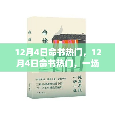 12月4日命书奇缘之旅，探寻命书奥秘，感受温馨奇妙的缘分之旅