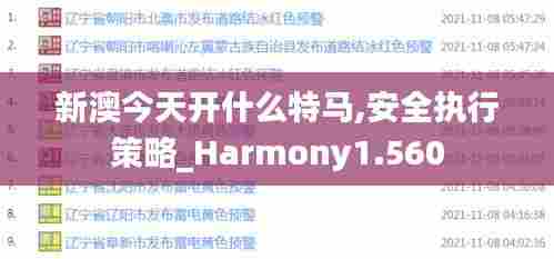新澳今天开什么特马,安全执行策略_Harmony1.560
