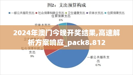 2024年澳门今晚开奖结果,高速解析方案响应_pack8.812