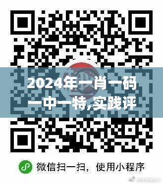 2024年一肖一码一中一特,实践评估说明_U9.103