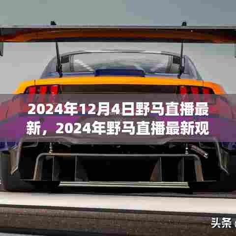 2024年野马直播最新观看指南，从零开始，掌握直播技能
