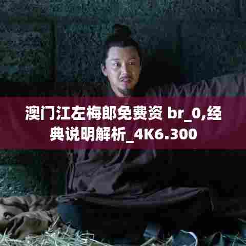 澳门江左梅郎免费资 br_0,经典说明解析_4K6.300