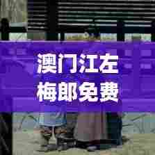 澳门江左梅郎免费资 br_0,经典说明解析_4K6.300