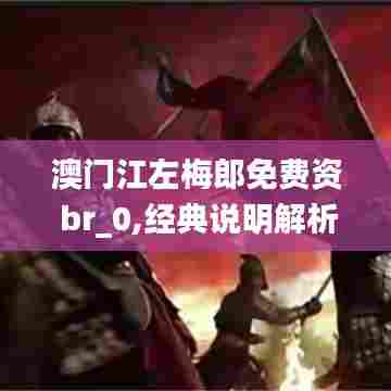 澳门江左梅郎免费资 br_0,经典说明解析_4K6.300