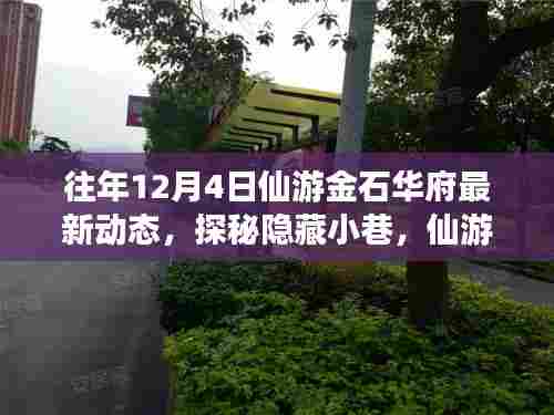 往年12月揭秘仙游金石华府最新动态,探秘隐藏小巷与深处独特小店