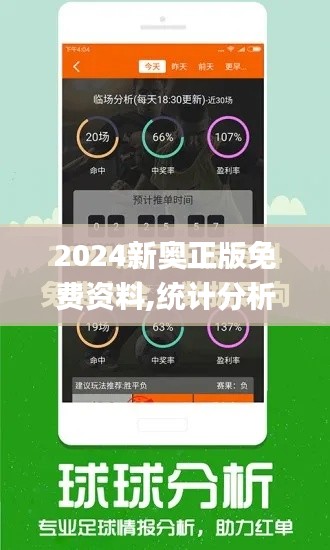 2024新奥正版免费资料,统计分析解析说明_特别款2.424