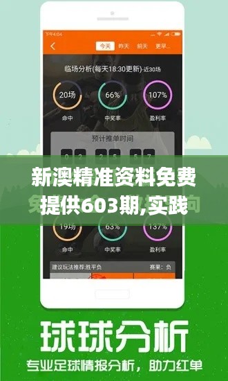 新澳精准资料免费提供603期,实践计划推进_终极版6.583