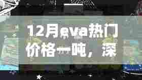 揭秘十二月EVA热门价格背后的秘密，深藏小巷的宝藏店！