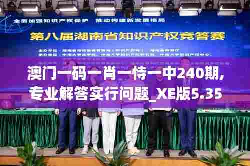 澳门一码一肖一恃一中240期,专业解答实行问题_XE版5.351