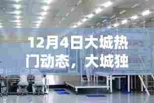 揭秘大城独家爆料,十二月四日热门动态一网打尽!